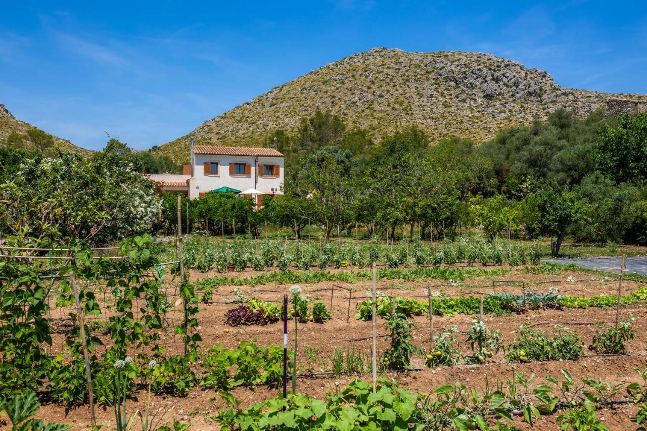 Villa Maria Port de Pollença Exteriér fotografie
